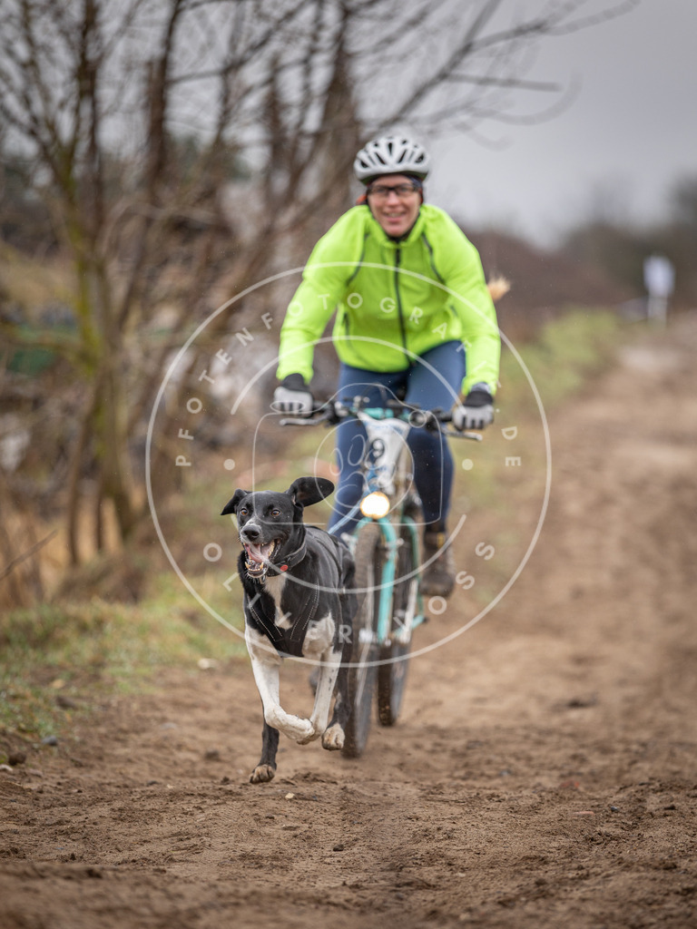 DV3A8894 | Hundefotografie, Tierfotograf, Pfotenfotografie, Fotoshooting Hund, Hunde Portrait, Hundesport, Hundeportraits, Heideshooting, Hunde, Sportfotograf, Hundefotograf, Turnierhundsport, THS,  - Realisiert mit Pictrs.com