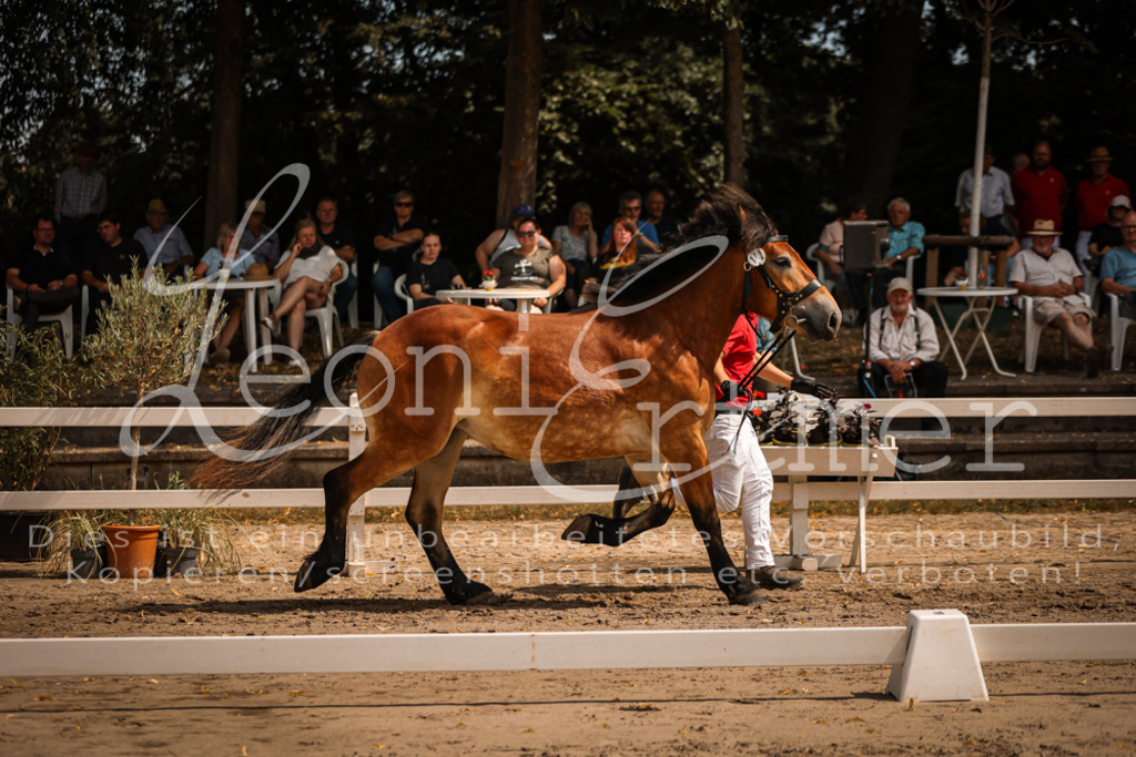 2.Sa00016 | Leoni Ertmer Photography - Realisiert mit Pictrs.com