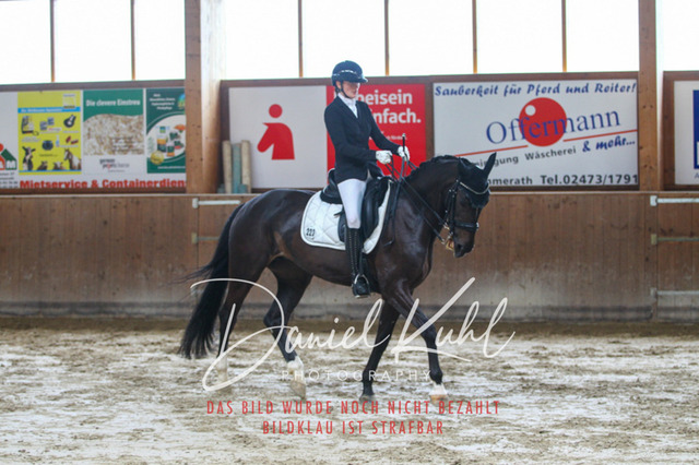 DKP44694 | Turniersportfotografie; Pferdefotografie; Dressurfotografie