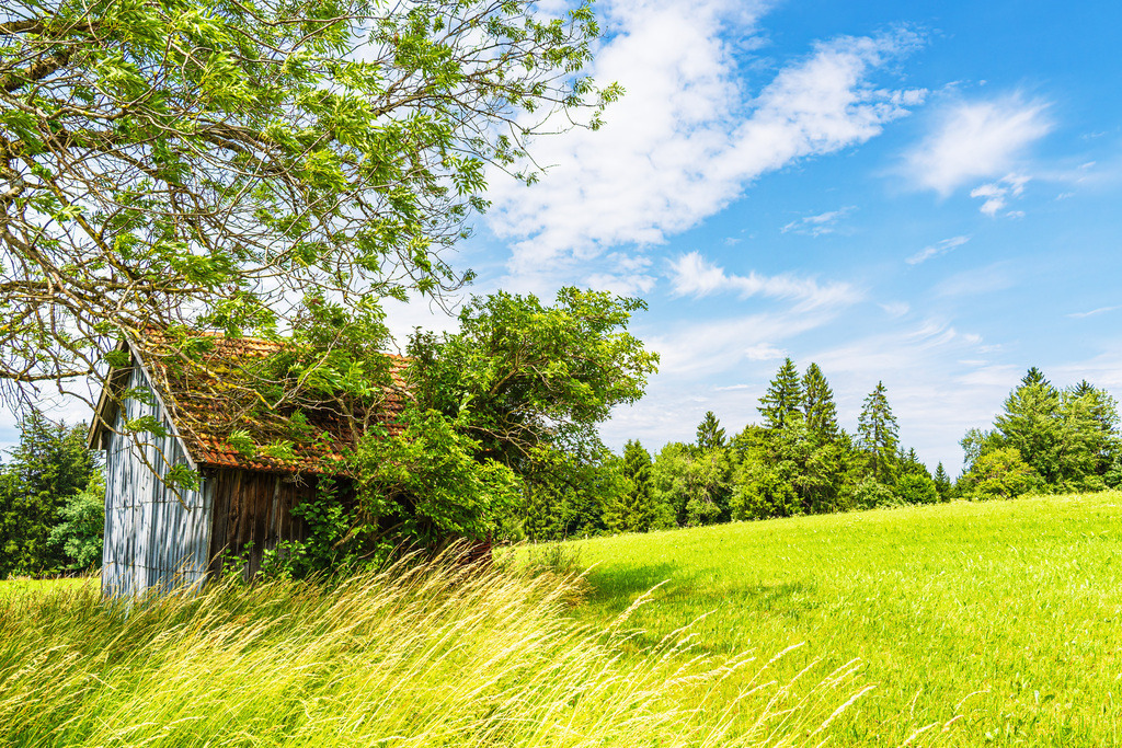 Holzhütte und Bergwiese am Falkenstein bei Pfronten | Holzhütte und Bergwiese am Falkenstein bei Pfronten.