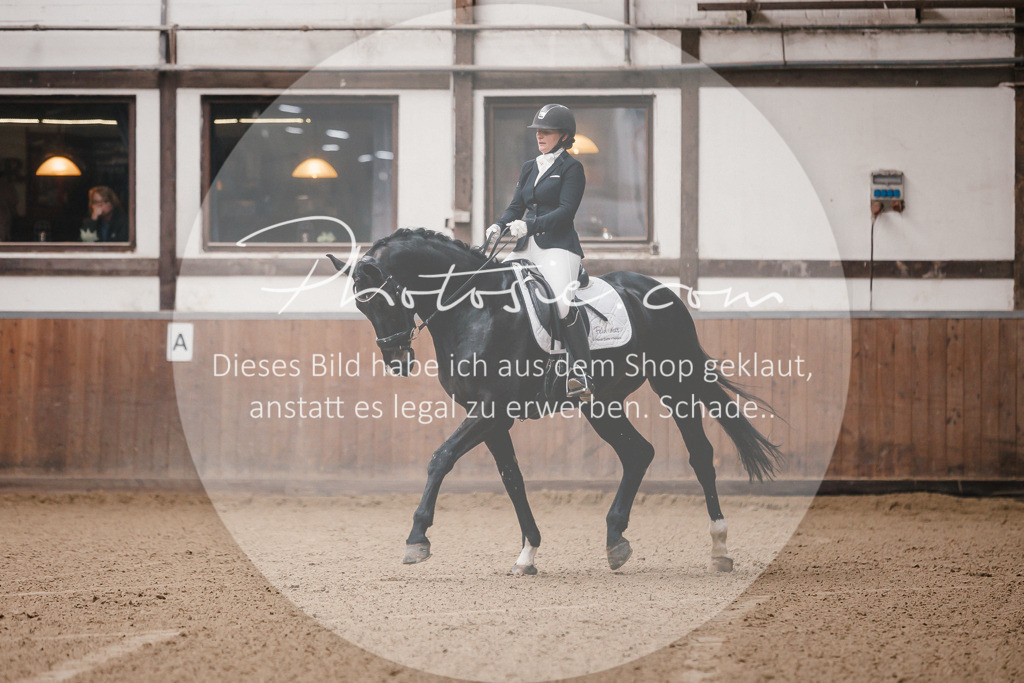 3I6A7079 | Stimmungsvolle Portraits und Reitsportfotografie im Ruhrgebiet und im Münsterland.

Pferdefotografie, Hundefotografie, Tierfotografie, Reportagen, Portraits von Tier und Mensch, Turnierfotografie in Bochum, Recklinghausen, Marl, Haltern am See, Dülmen.. - Realisiert mit Pictrs.com