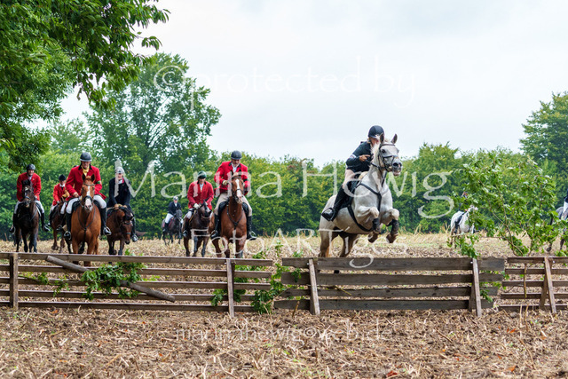 Jagd Kletkamp 26-03042_MarinaHewig | Fotografie, FotoArt, PferdesportArt, Pferdesportfotografie, Landschaftsfotografie, Reisefotografie, Reise, Pferde - Realisiert mit Pictrs.com