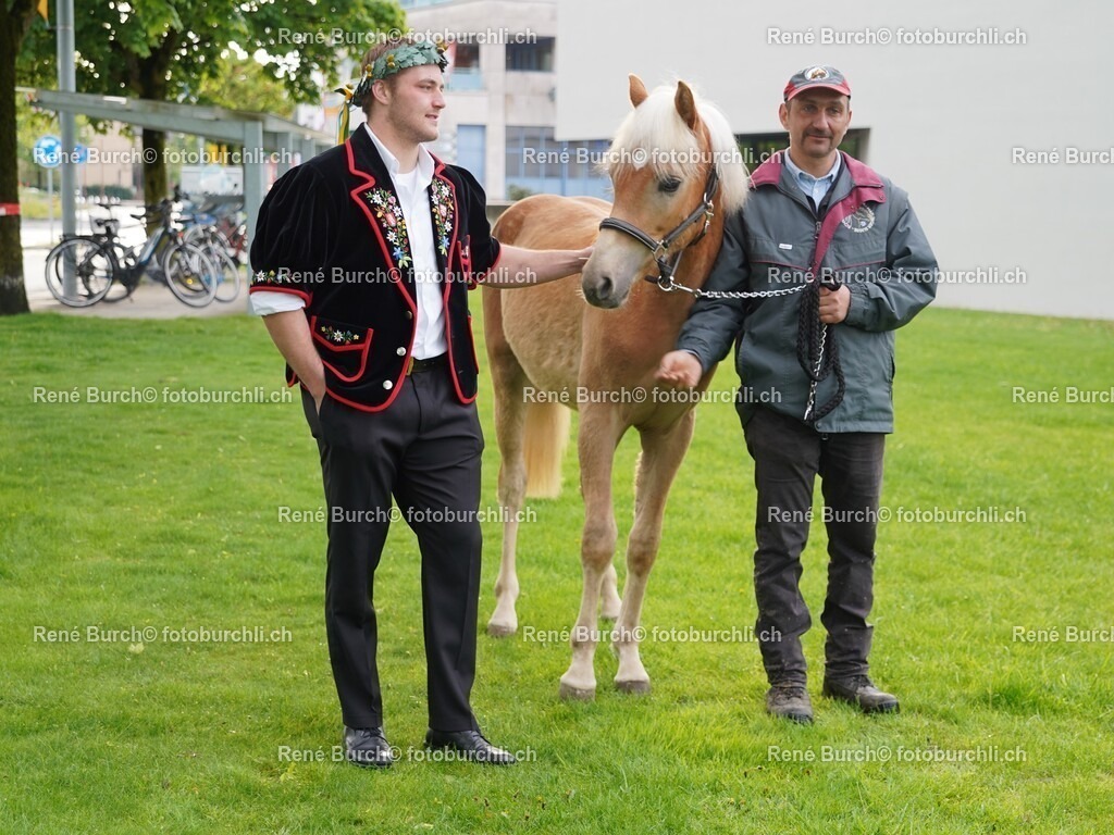 DSC07407 (2) | René Burch leidenschaftlicher Fotograf aus Kerns in Obwalden.  Hier finden sie Sport, Landschaft und Natur Fotografie.
 - Realisiert mit Pictrs.com