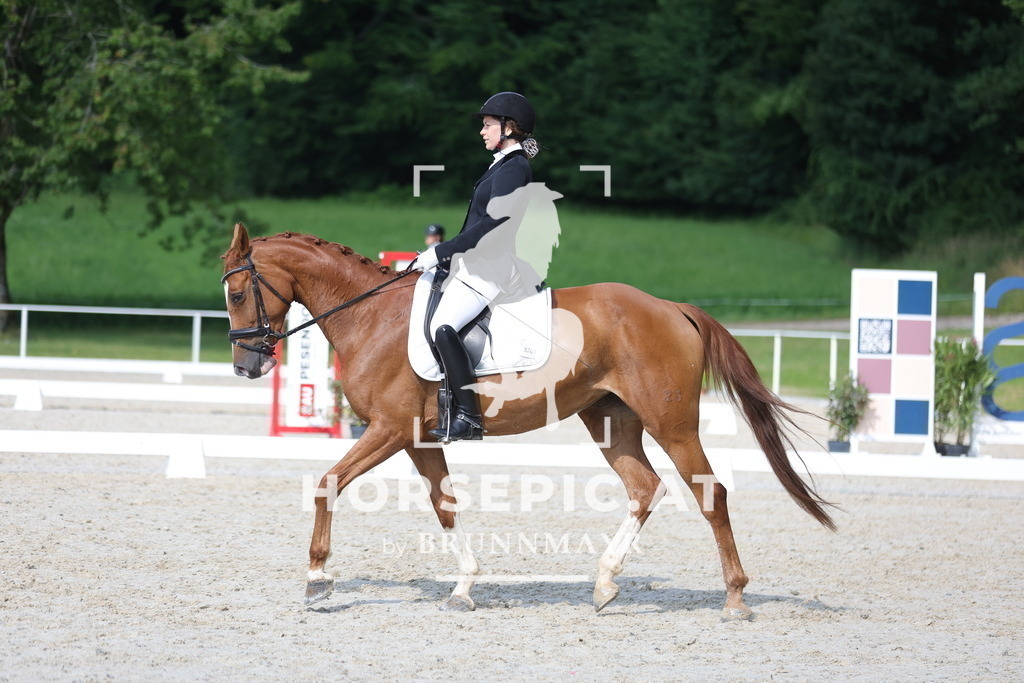 0P6A8971 | Willkommen bei Brunnmayr - Design & Fotografie – Ihrem Spezialisten für Reitturniere und Pferdeveranstaltungen in Oberösterreich, Salzburg und Bayern! Seit über 17 Jahren sind wir leidenschaftlich dabei.