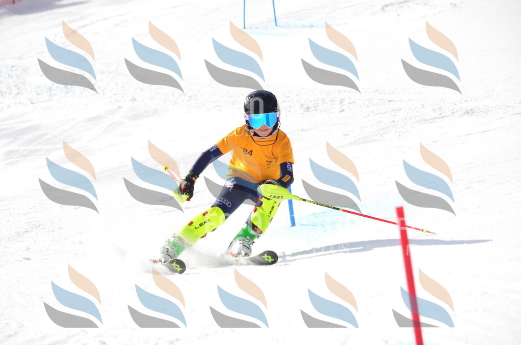 C8016 | holidayphoto