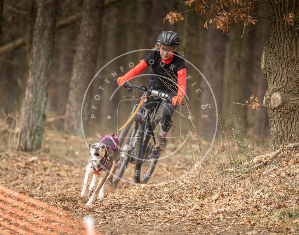 Pfotenfotografie_DV3A3098 | Hundefotografie, Tierfotograf, Pfotenfotografie, Fotoshooting Hund, Hunde Portrait, Hundesport, Hundeportraits, Heideshooting, Hunde, Sportfotograf, Hundefotograf, Turnierhundsport, THS,  - Realisiert mit Pictrs.com