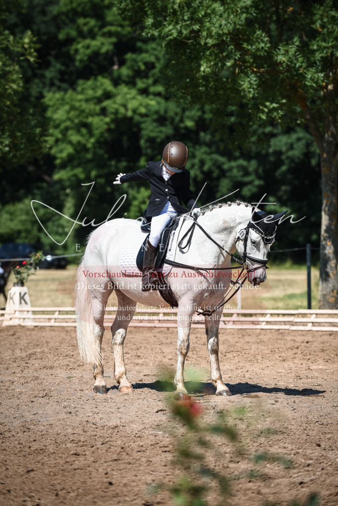 DSC_3579 | Pferde- und Turnierfotografie in Westsachsen. Pferdeportraits, Auftragszeichnungen und intuitive Kunst.