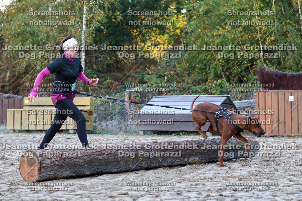 Dog Paparazzi - Strongdog 10-25-32 | Dog Paparazzi Jeanette Grottendiek Fotografie & Videografie - Realisiert mit Pictrs.com