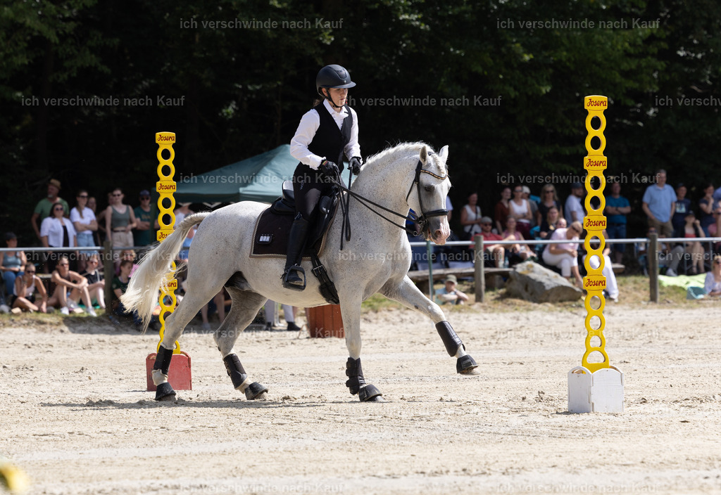 WM_YR_Speed_133_KerstinBernhardt-10 | working equitationturnier fotograf videograf stoibphotography marixx film working equitation deutschland reitsport turnierfotografie eventfotografie equestrian events