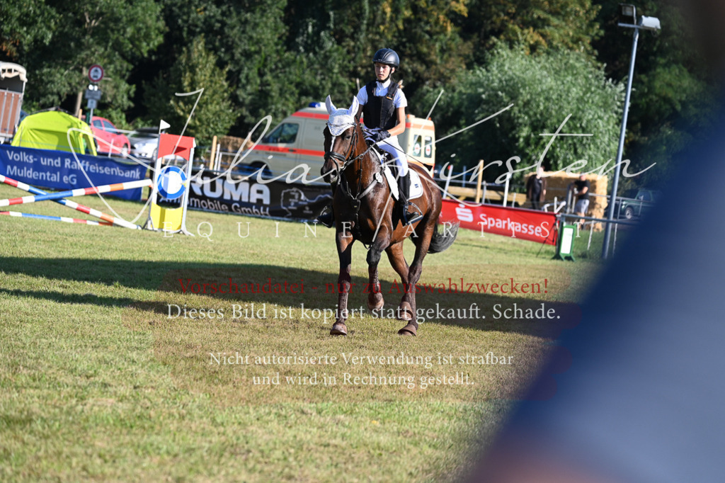 DSC_4929 | Pferde- und Turnierfotografie in Westsachsen. Pferdeportraits, Auftragszeichnungen und intuitive Kunst.