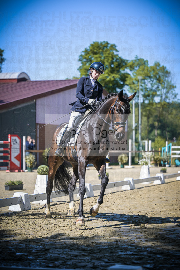 DOS_5875 | Entdecke hochwertige Reitturnierfotos von Foto Oger. Professionell, emotional und authentisch – jetzt Lieblingsmomente im Shop bestellen.Deutschlandweite Turnierfotografie. - Realisiert mit Pictrs.com