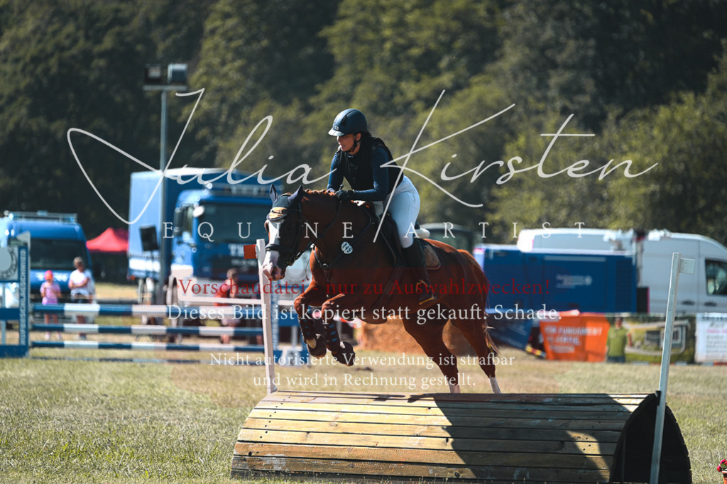 DSC_7987 | Pferde- und Turnierfotografie in Westsachsen. Pferdeportraits, Auftragszeichnungen und intuitive Kunst.
