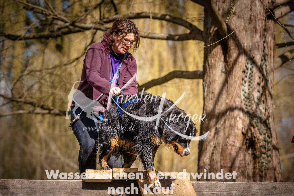 1037_ZZ97961 | kk-dogfotos