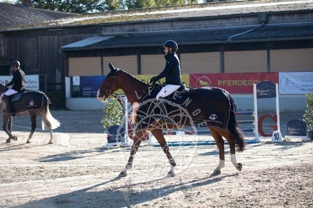 2B4A0095 | pixelfaenger - Realisiert mit Pictrs.com