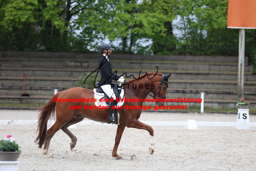 A40A8279 | lmwpictures - Realisiert mit Pictrs.com