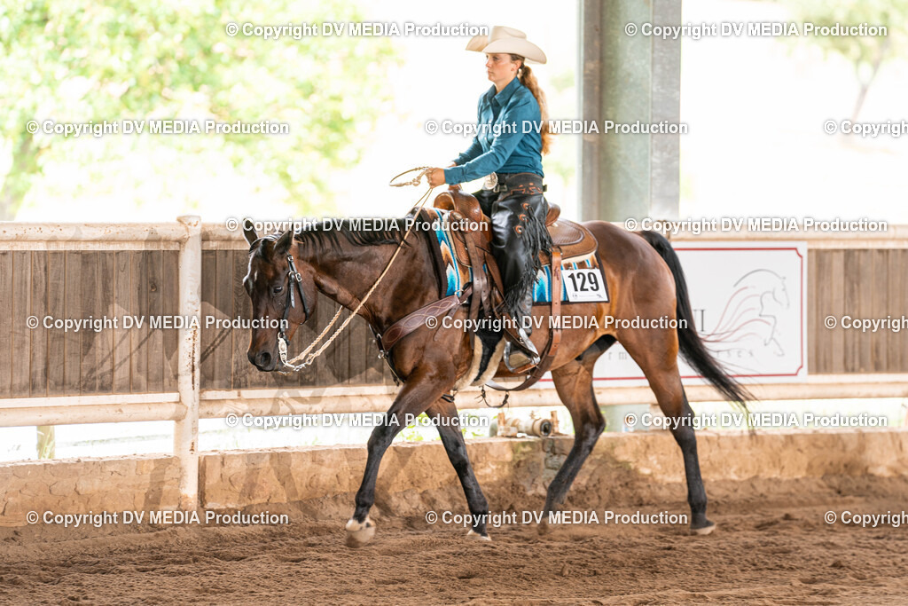 Erbach Tag 1-690 | dv-media-shop - Realisiert mit Pictrs.com