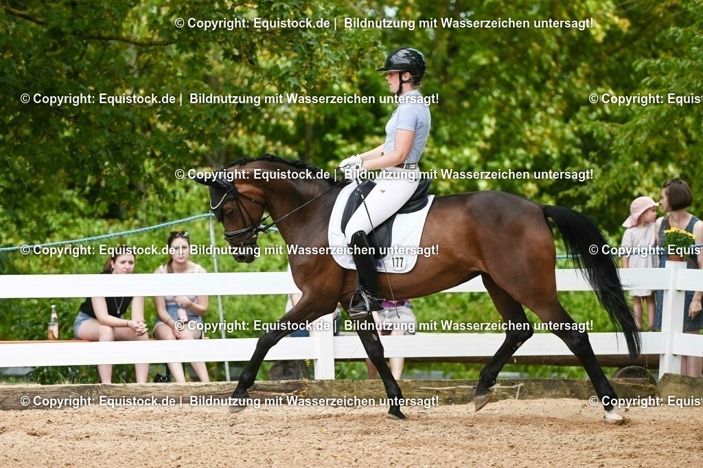 20230715_02_Dressurreiterprüfung Kl.L_0403 | equistock