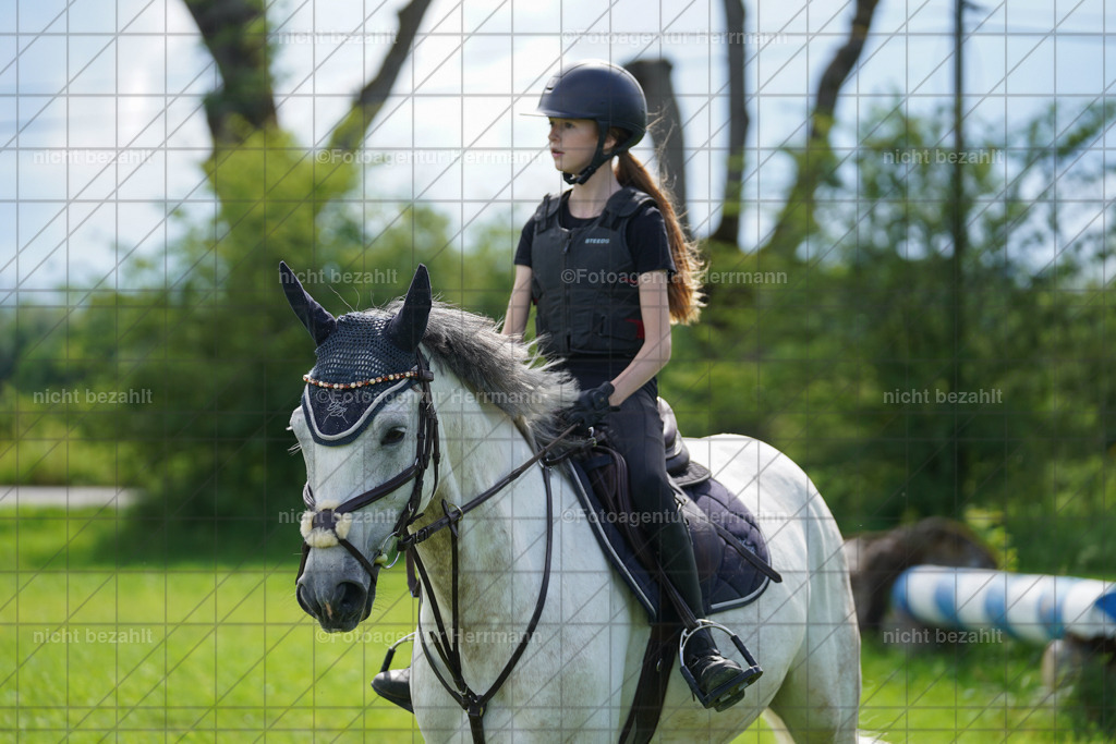 20240622-FAH07888 | Turnierfotografen Bayern, Reitsportbilder aus dem Geländekurs mit Felix Etzel auf dem Gut Waitzacker 2024