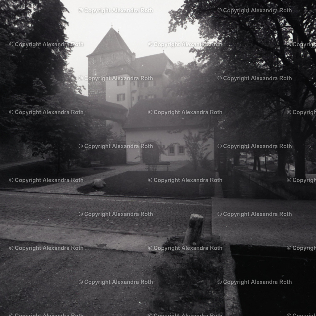 Aarau_732 | onlineshop - Realisiert mit Pictrs.com