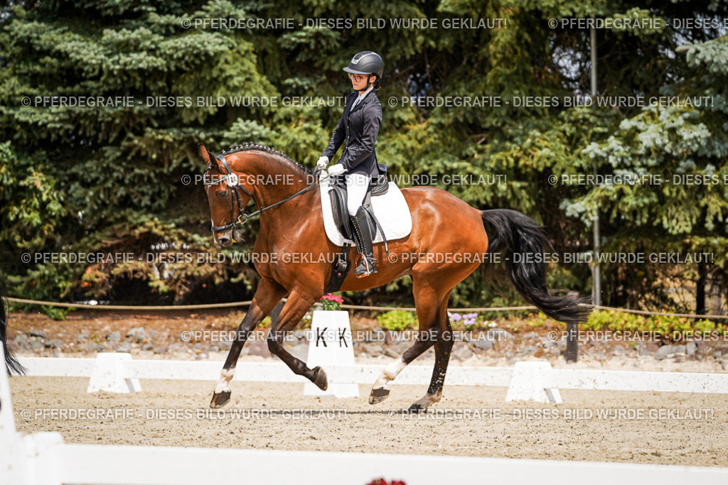 DSC02714 | Pferdegrafie