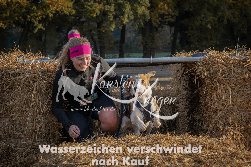 0944_ZZ94286 | kk-dogfotos