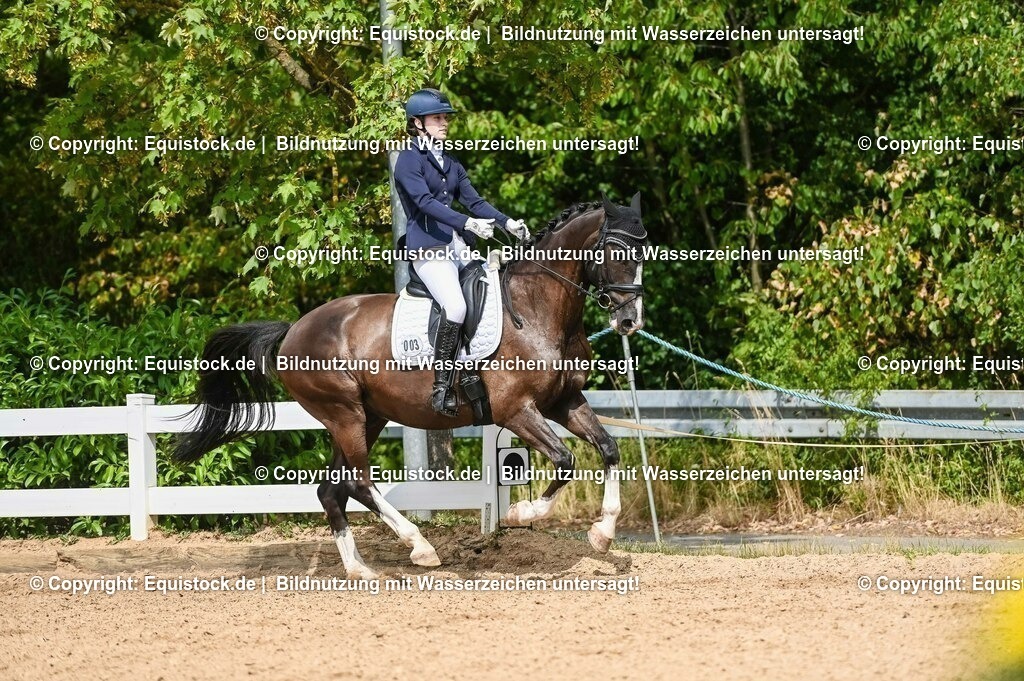 20230715_02_Dressurreiterprüfung Kl.L_0289 | equistock