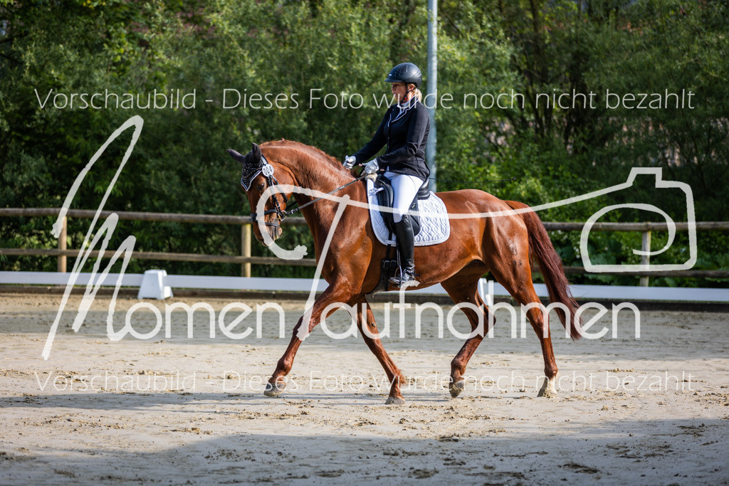 Donop24-A-Dre-014 | MomenTaufnahmen Pferdesportfotos