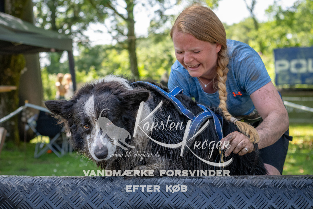 1342_ZZ91985 | kk-dogfotos