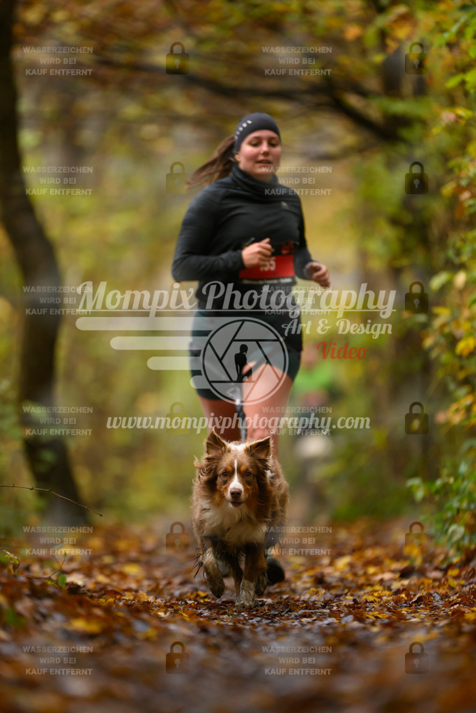 MompixPhotography_CD7S_DI_CCL-182 | mompixphotography