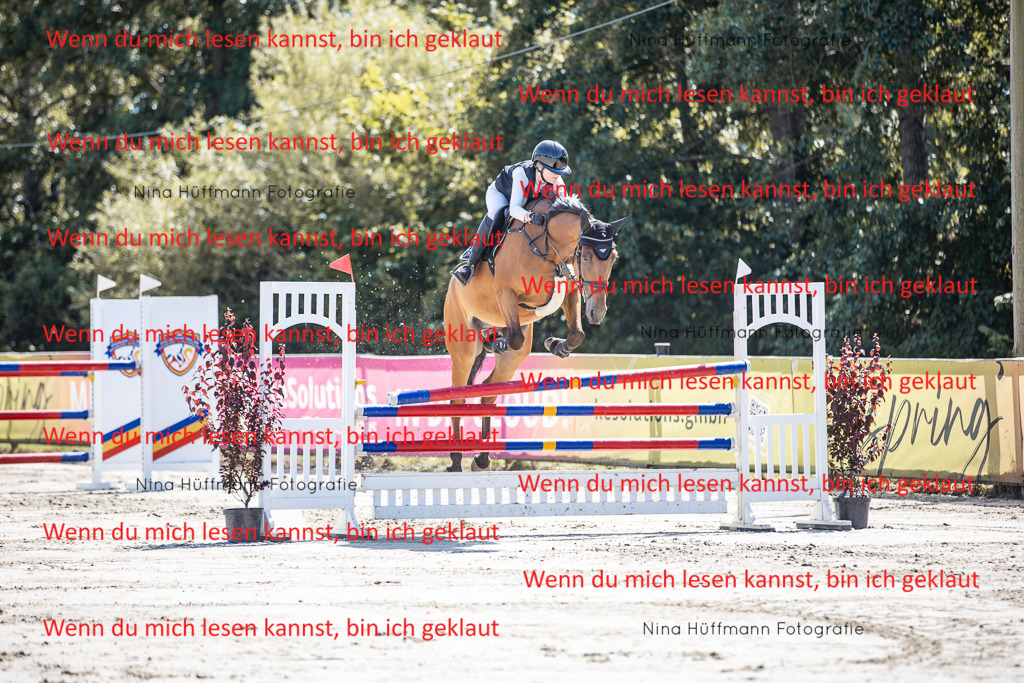 BK1A6629 | Turnierbilder Turnierfotos Nina Hüffmann Turnierfotografie Pferdefotografie Tierzeichnung Haustierzeichnung Pferdezeichnung Hundezeichnung Videograf  - Realisiert mit Pictrs.com