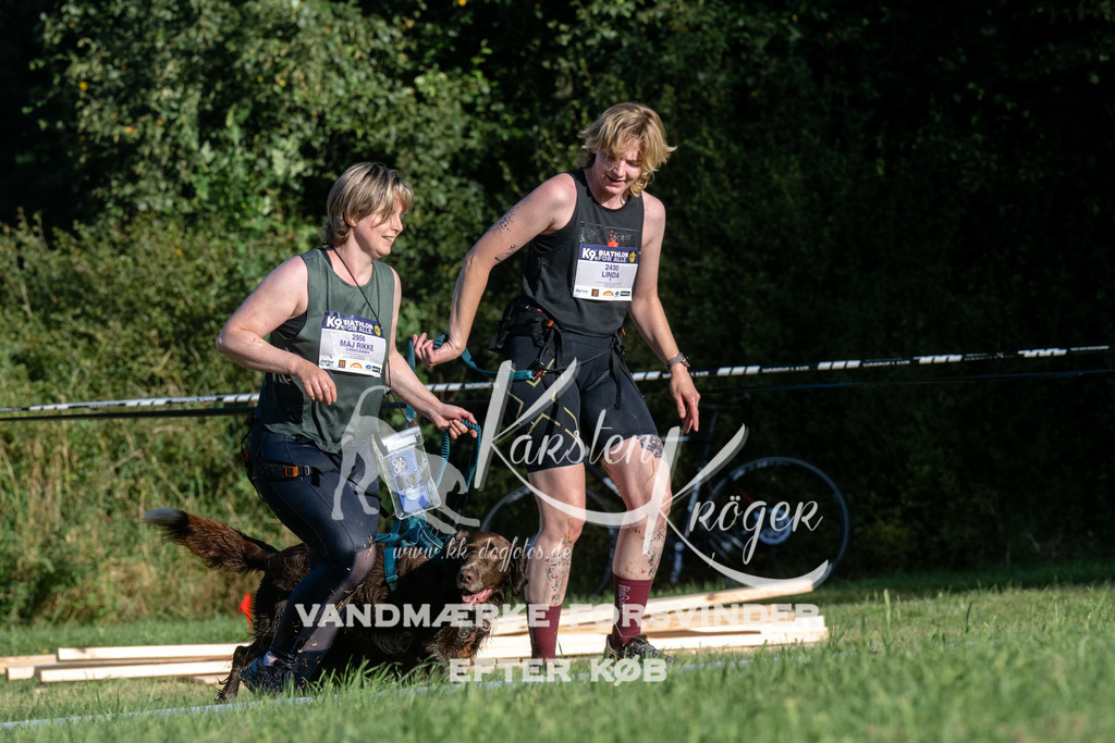 0832_ZZ94081 | kk-dogfotos