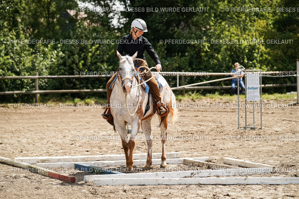 DSC06299 | Pferdegrafie