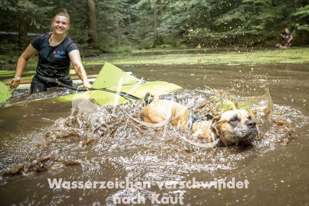 1430_ZZ92648-Bearbeitet | kk-dogfotos