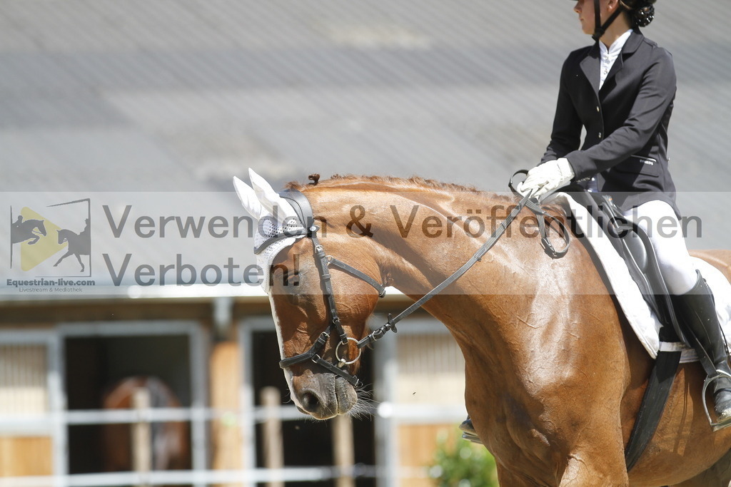 _MG_0891 | equestrian-live-com