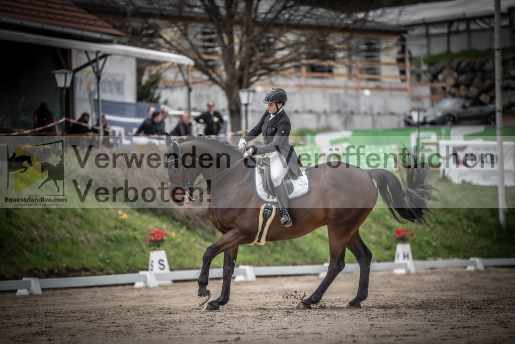 DSC_2950 | equestrian-live-com