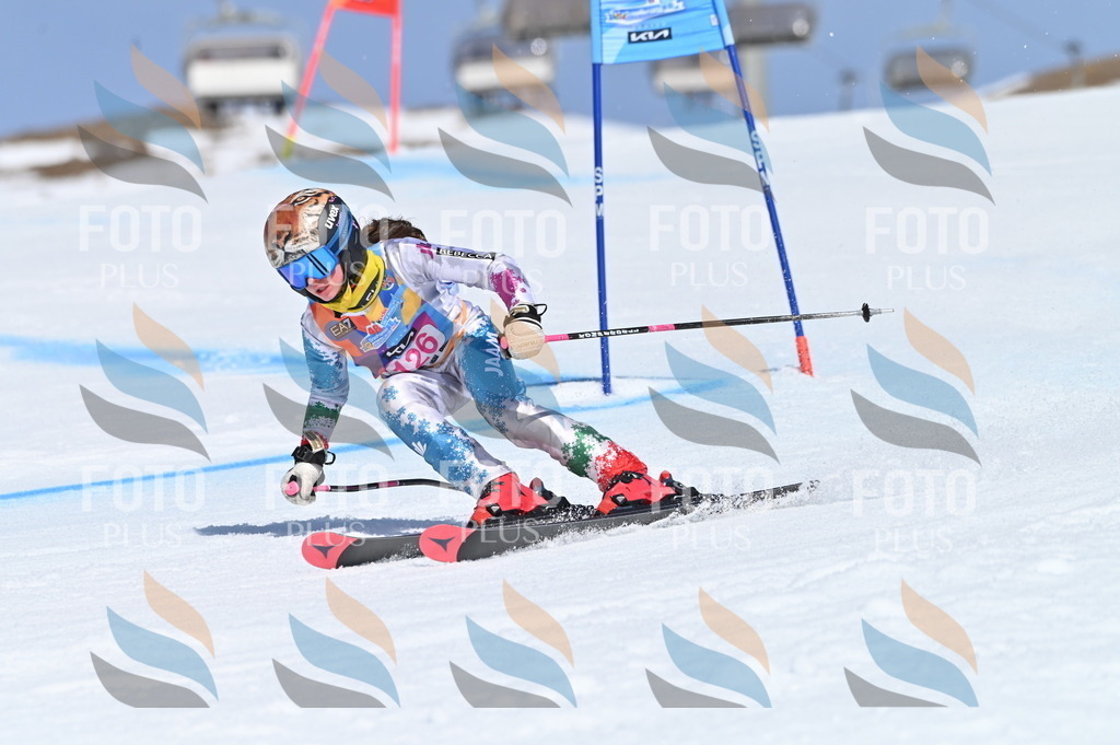 BGV_9920 | holidayphoto