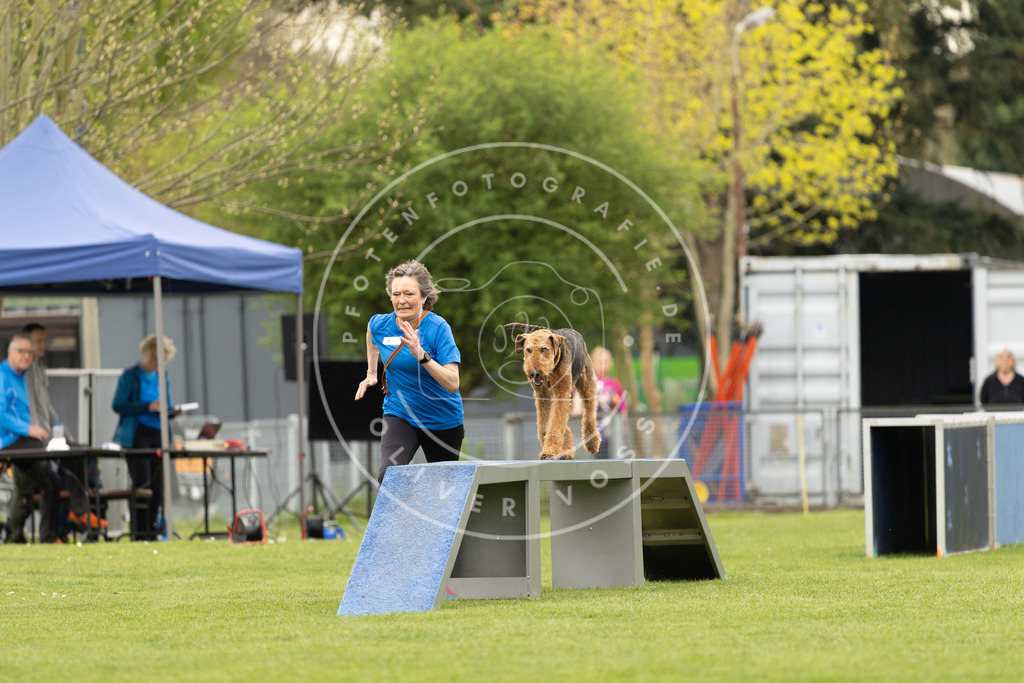 Pfotenfotografie_DV3A9000 | Hundefotografie, Tierfotograf, Pfotenfotografie, Fotoshooting Hund, Hunde Portrait, Hundesport, Hundeportraits, Heideshooting, Hunde, Sportfotograf, Hundefotograf, Turnierhundsport, THS,  - Realisiert mit Pictrs.com