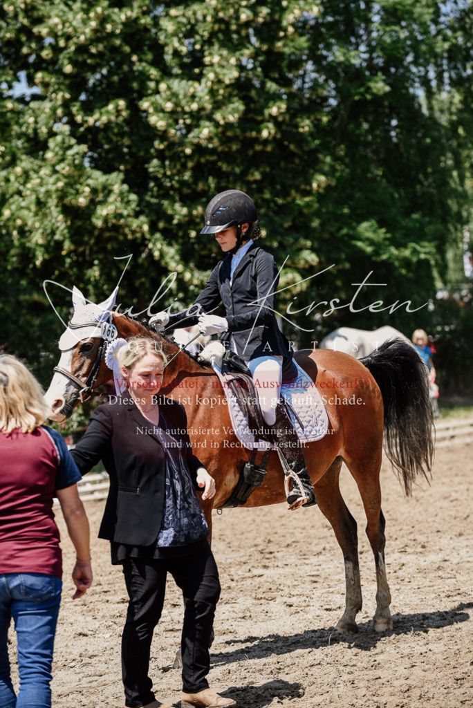 DSC_2042 | Pferde- und Turnierfotografie in Westsachsen. Pferdeportraits, Auftragszeichnungen und intuitive Kunst.