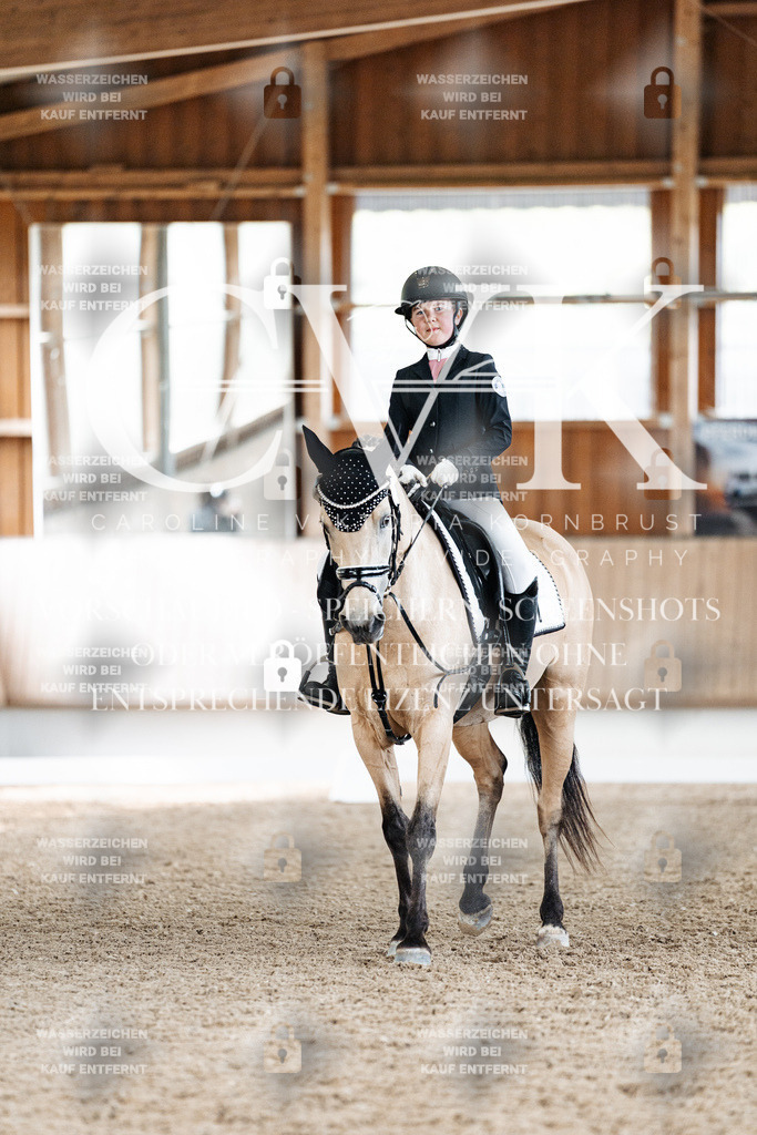 CK900095 | Turnierfotografie Pferdefotografie Trier Rheinland-Pfalz Pferdesport Reitsport Tierfotografie Sportfotografie Pferdevideo Pferdevideografie Equestrianvideography equestrianphotography  - Realized with Pictrs.com