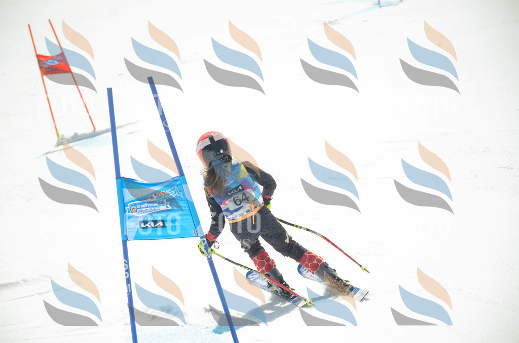 _ELE5369 | holidayphoto