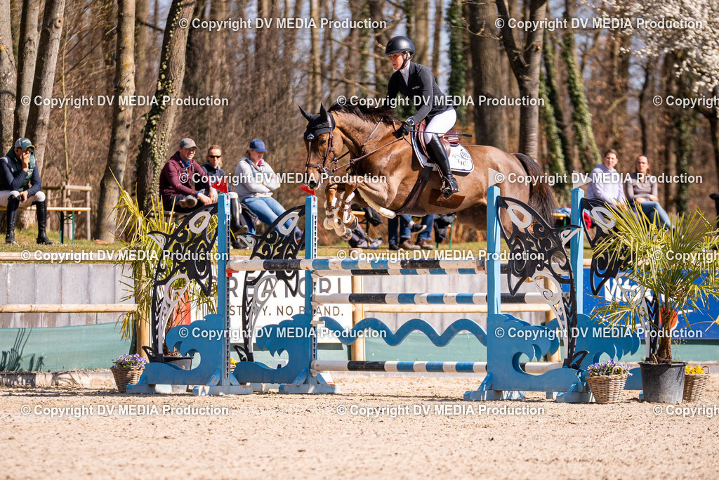 Kranichstein Tag 2-862 | dv-media-shop - Realisiert mit Pictrs.com