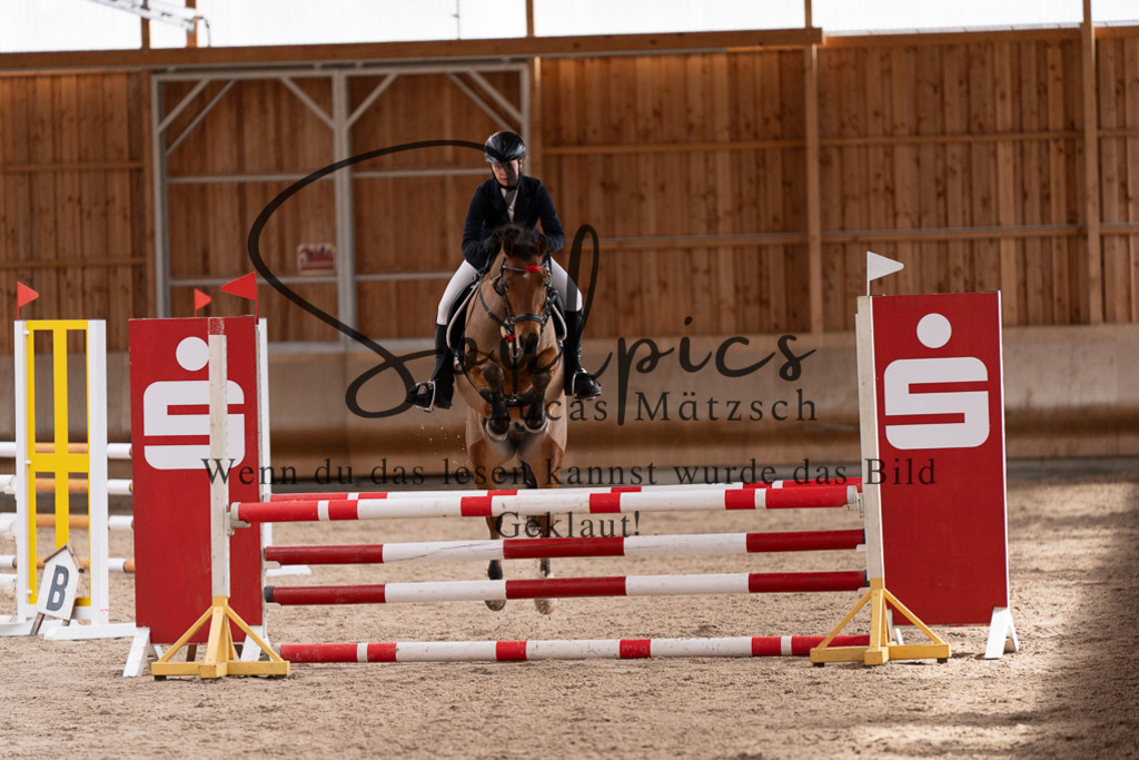 A7507883 | Pferdefotograf