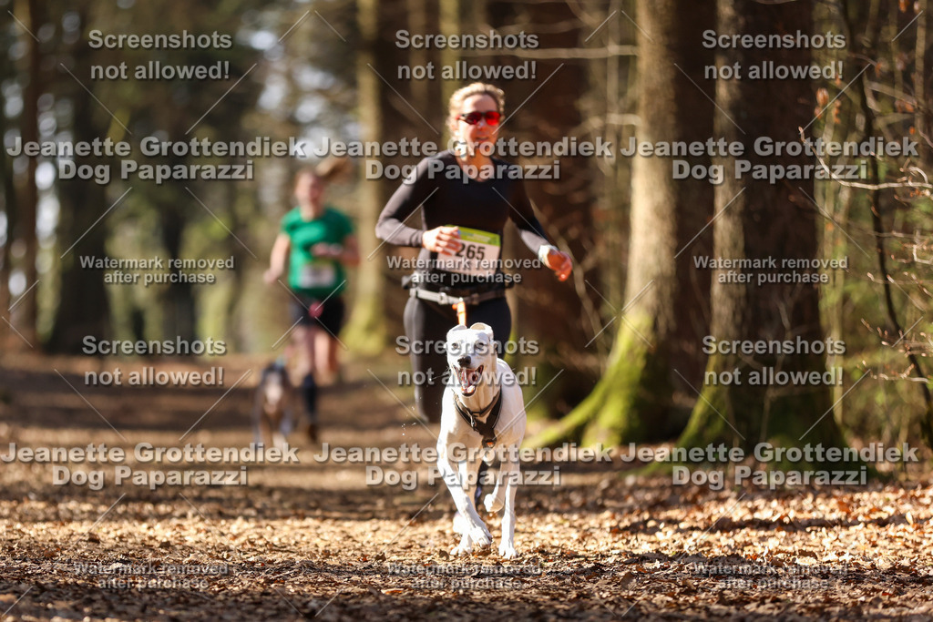 Dog Paparazzi - VCC26-1114 | Dog Paparazzi Jeanette Grottendiek Fotografie & Videografie - Realized with Pictrs.com