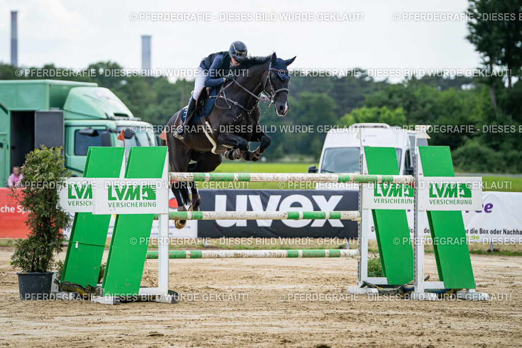 DSC06819 | Pferdegrafie