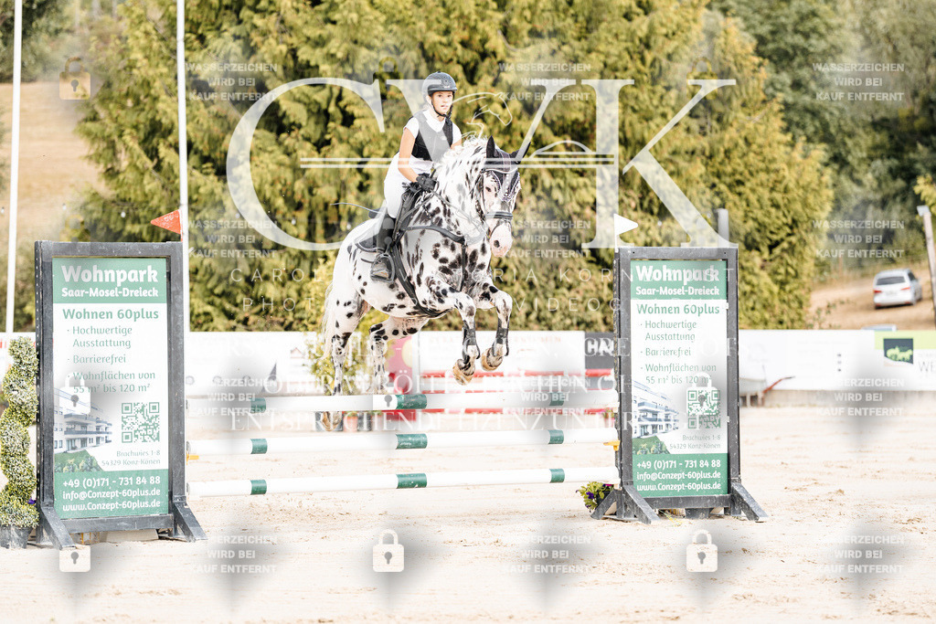 CK908922 | Turnierfotografie Pferdefotografie Trier Rheinland-Pfalz Pferdesport Reitsport Tierfotografie Sportfotografie Pferdevideo Pferdevideografie Equestrianvideography equestrianphotography  - Realisiert mit Pictrs.com
