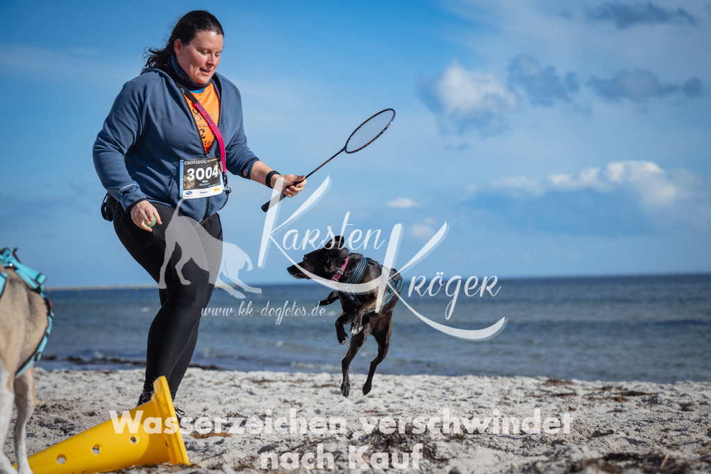 1340_ZZ92691 | kk-dogfotos