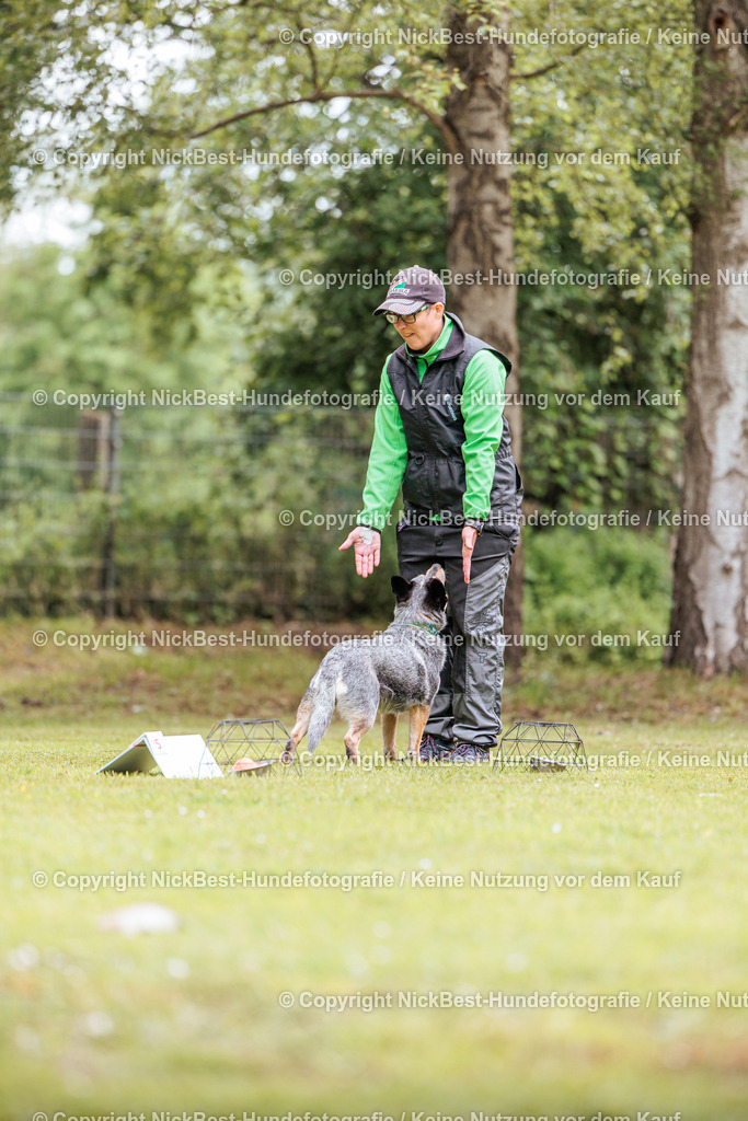 RO-Blumenthal-2026-Nickbest-Hundefotografie-1798 | Dein Hund! Dein Moment! Deine Erinnerungen! Hundefotografie in Bremen Blumenthal. Ich fange die besonderen Momente deines Vierbeiners ein – ob Indoor mit Blitzanlage oder in der freien Natur. Sicher dir dein Moment und dein Termin für eure Erinnerungen.