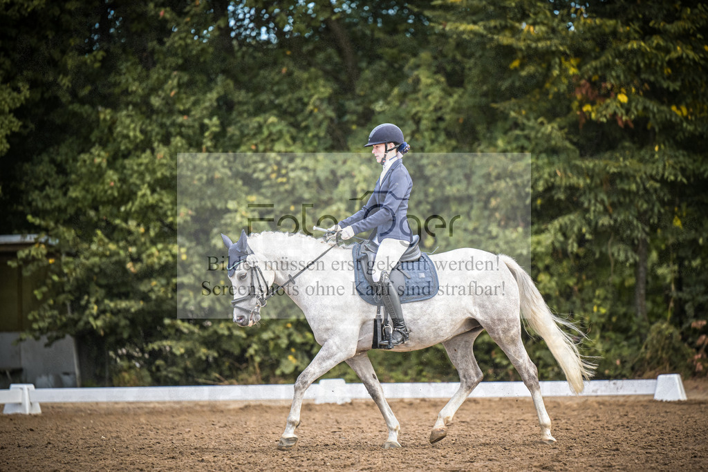 DOS_2284 | Entdecke hochwertige Reitturnierfotos von Foto Oger. Professionell, emotional und authentisch – jetzt Lieblingsmomente im Shop bestellen.Deutschlandweite Turnierfotografie. - Realisiert mit Pictrs.com