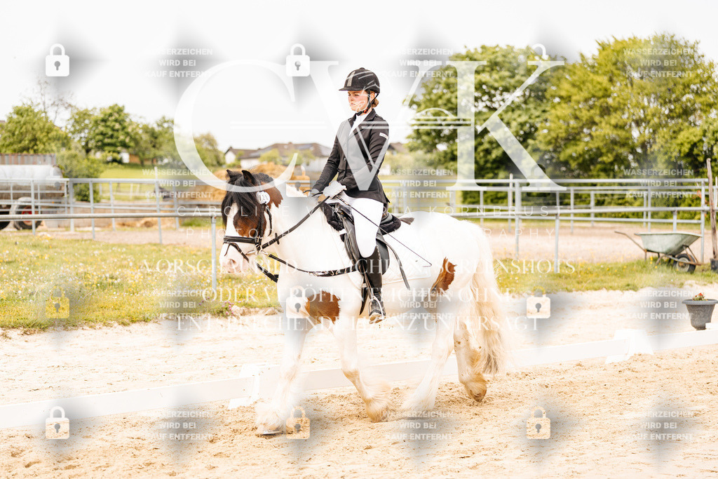 CK904196 | Turnierfotografie Pferdefotografie Trier Rheinland-Pfalz Pferdesport Reitsport Tierfotografie Sportfotografie Pferdevideo Pferdevideografie Equestrianvideography equestrianphotography  - Realisiert mit Pictrs.com