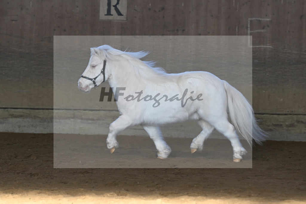 Kat-Nr. 14 Elmhorst Irish Cream v. Elmhorst Irish Coffee_Elmer_49250627 | hf-fotografie - Realisiert mit Pictrs.com